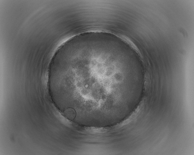 X0000113880831200910081745