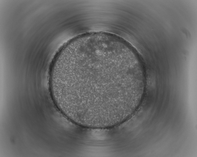 X0000113880832200910081745