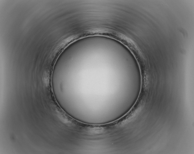 X0000113880833200910081745