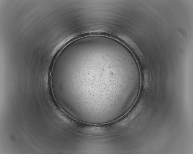 X0000113880834200910081745