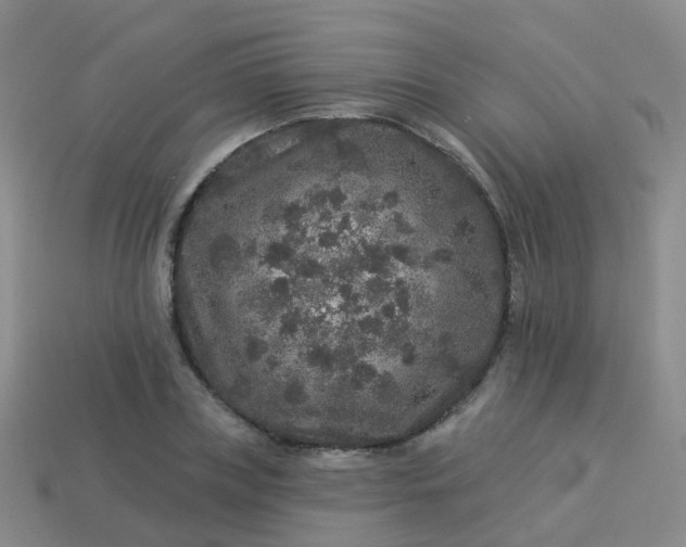 X0000113880835200910081745