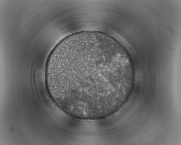 X0000113880836200910081745