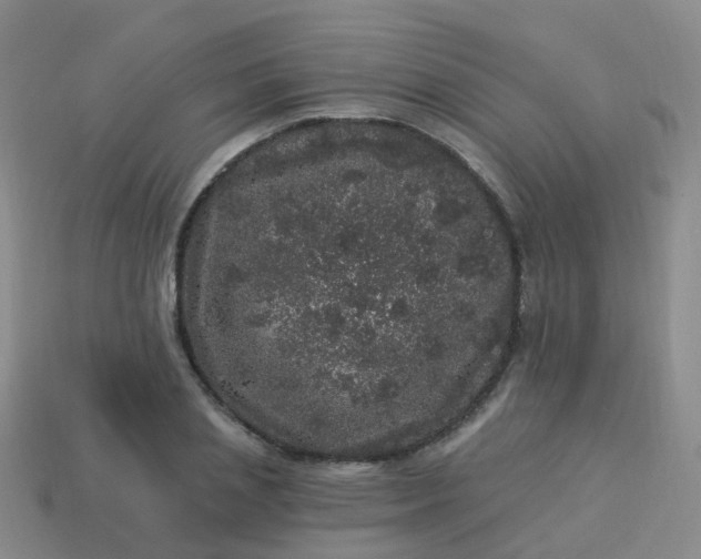 X0000113880837200910081745