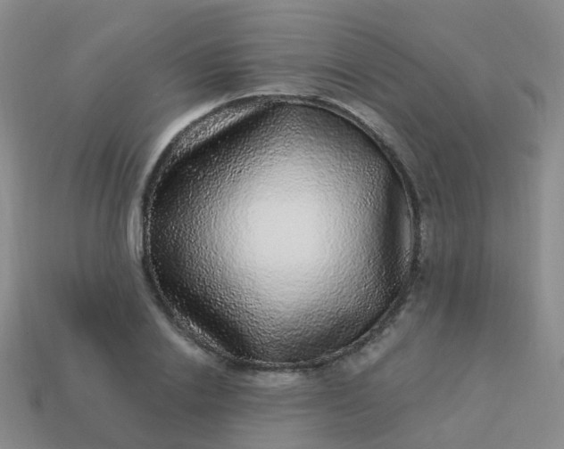 X0000113880838200910081745