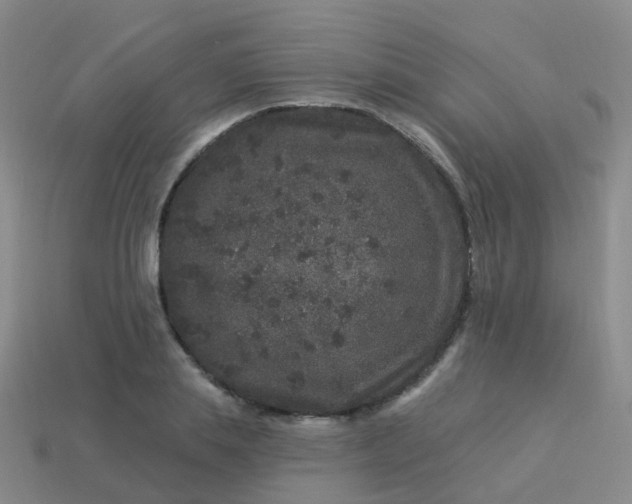 X0000113880839200910081745