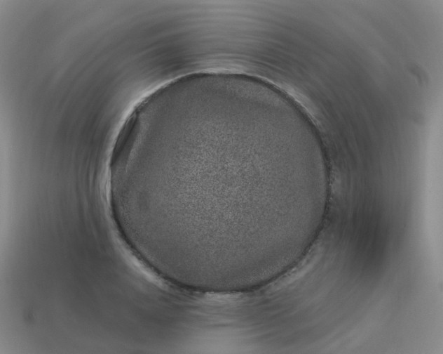 X0000113880840200910081745