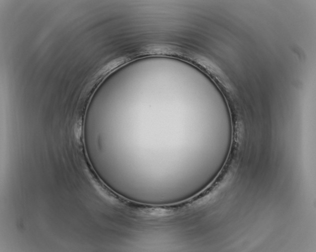 X0000113880841200910081745