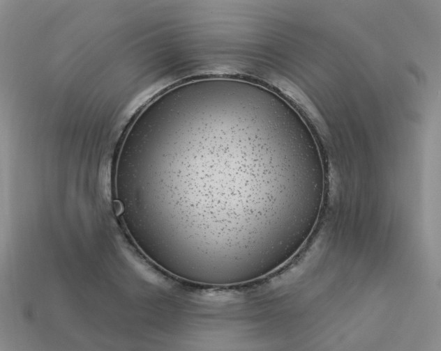 X0000113880842200910081745