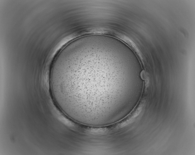 X0000113880843200910081745