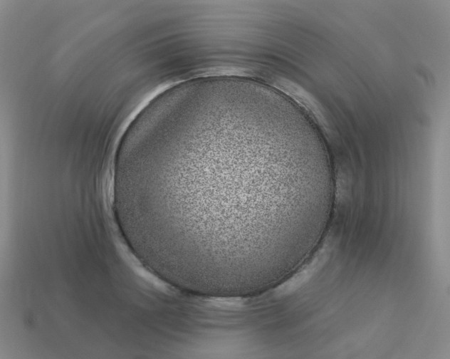 X0000113880844200910081745