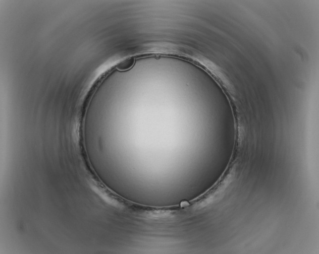 X0000113880846200910081745