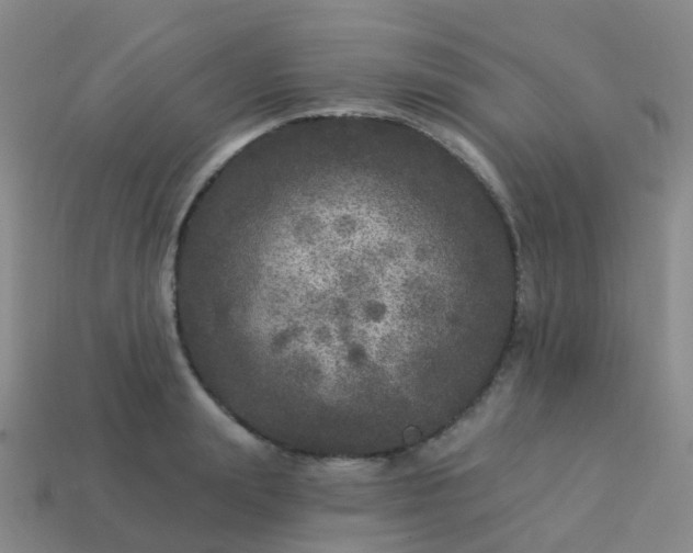 X0000113880847200910081745