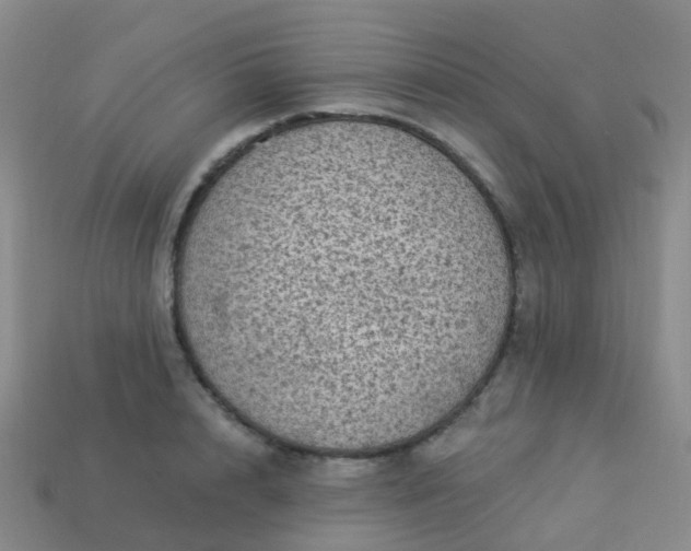 X0000113880848200910081745