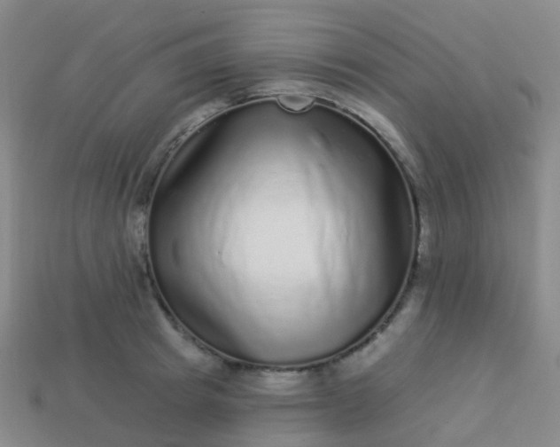 X0000113880849200910081745