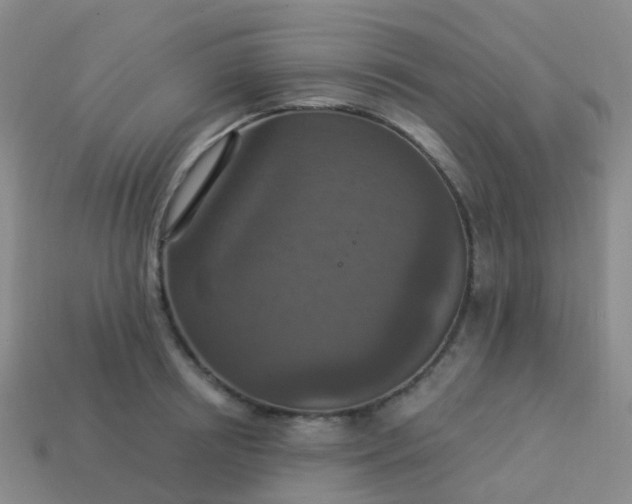 X0000113880850200910081745