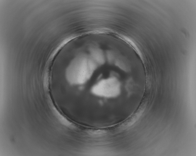 X0000113880851200910081745