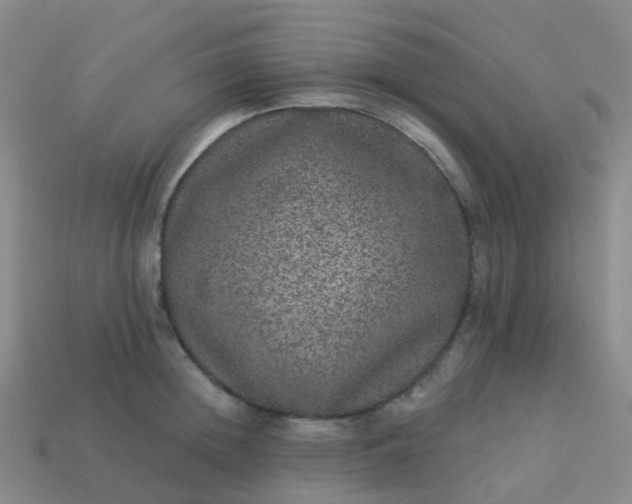 X0000113880852200910081745