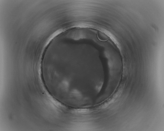 X0000113880853200910081745