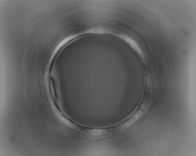 X0000113880854200910081745