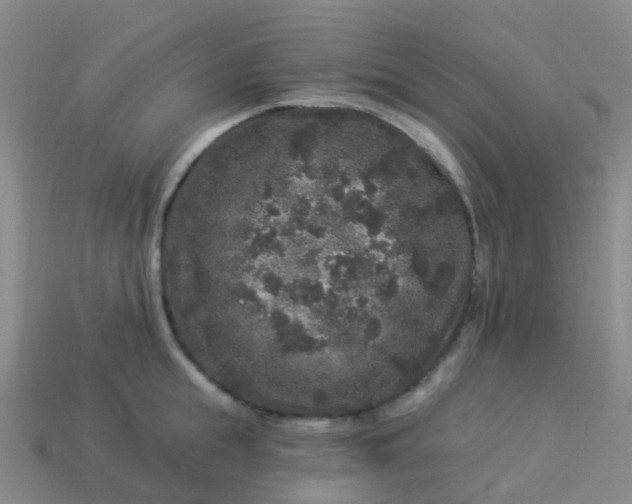 X0000113880855200910081745