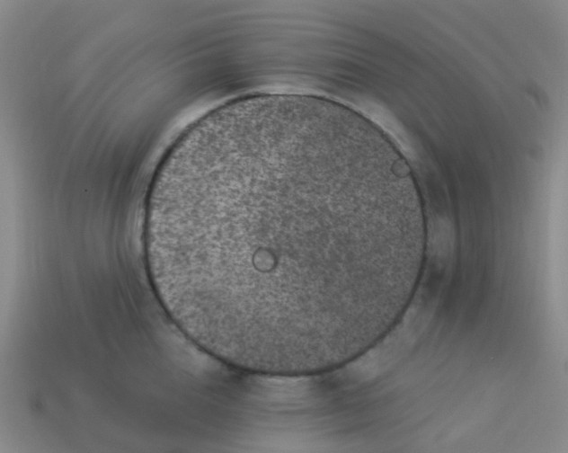 X0000113880856200910081745