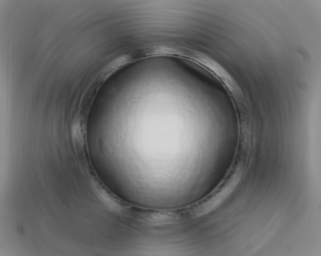 X0000113880857200910081745