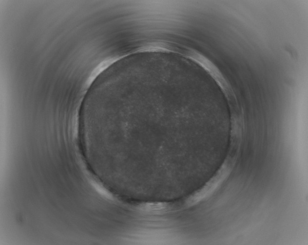 X0000113880858200910081745