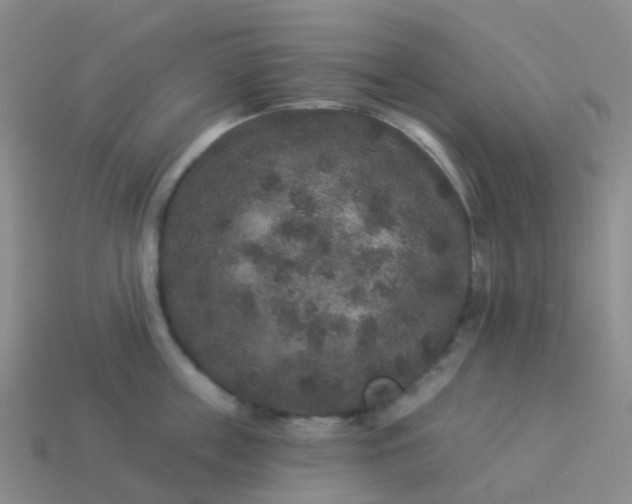 X0000113880859200910081745