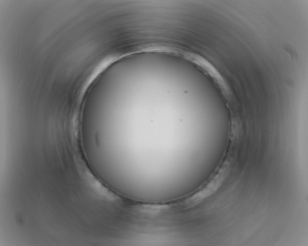 X0000113880860200910081745