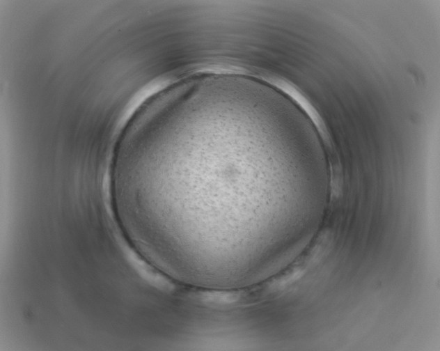 X0000113880861200910081745