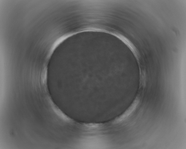 X0000113880862200910081745