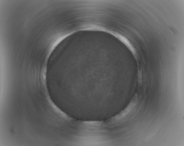 X0000113880863200910081745