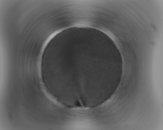 X0000113880864200910081745