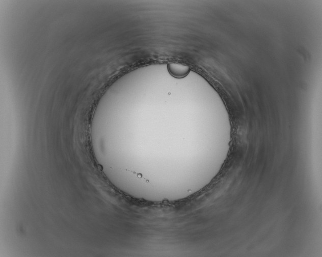 X0000113880865200910081744