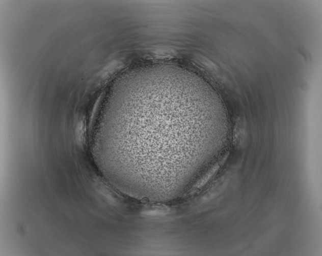 X0000113880866200910081744