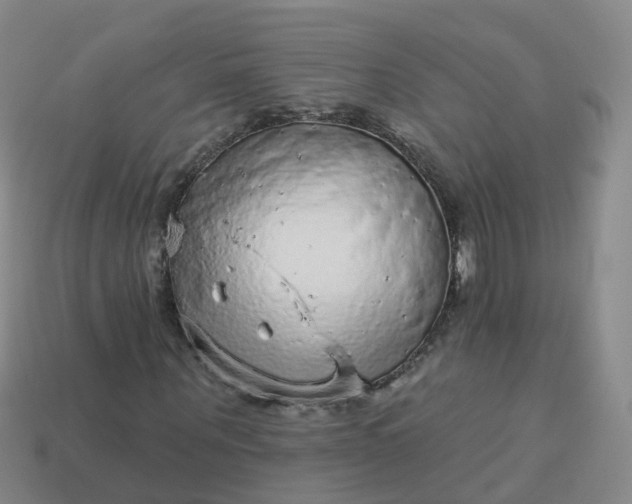 X0000113880867200910081744