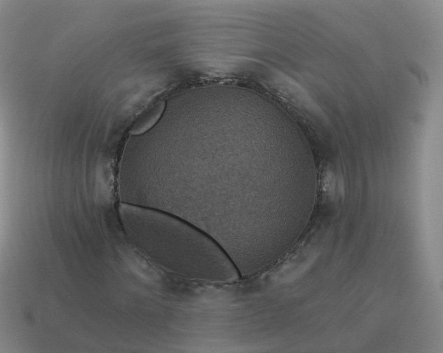 X0000113880868200910081744