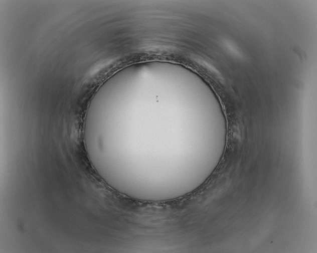 X0000113880869200910081744