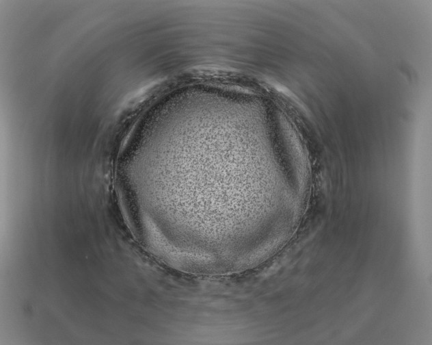 X0000113880870200910081744