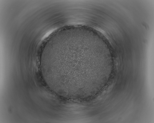 X0000113880871200910081744