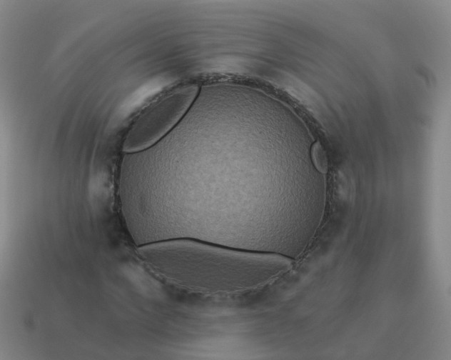 X0000113880872200910081744