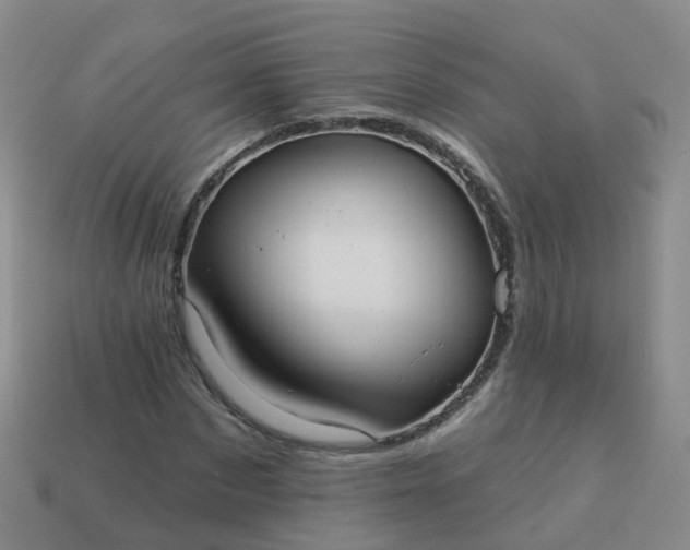 X0000113880873200910081744