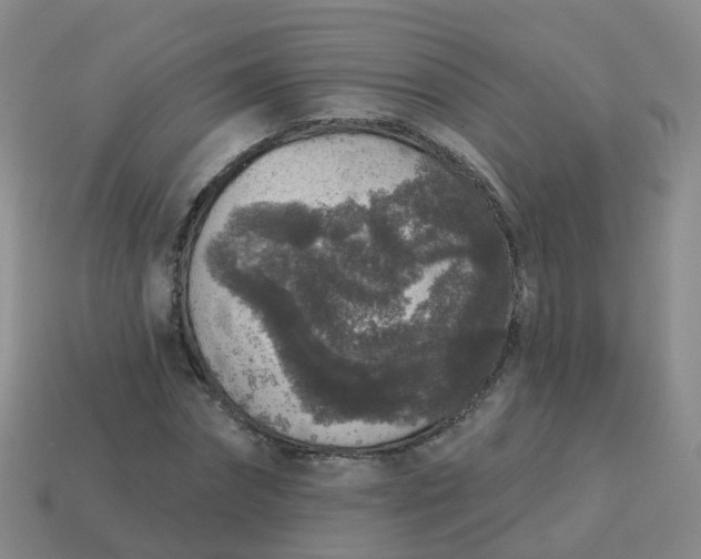 X0000113880874200910081744