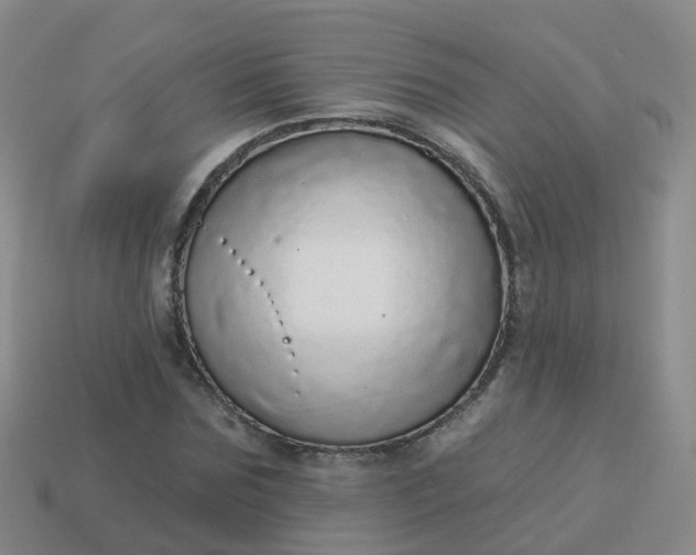 X0000113880875200910081744