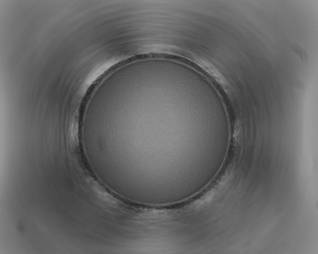 X0000113880877200910081744