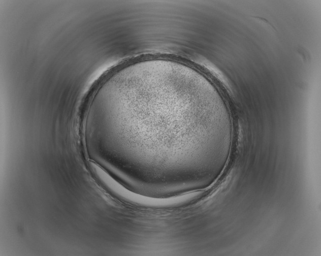 X0000113880878200910081744