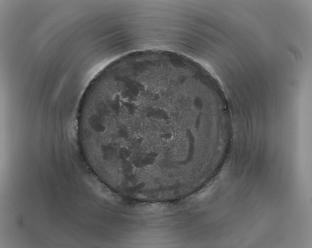 X0000113880879200910081744