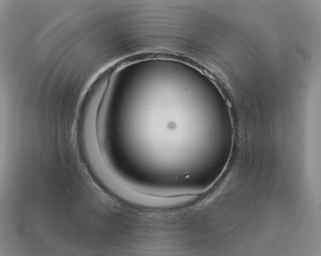 X0000113880880200910081744