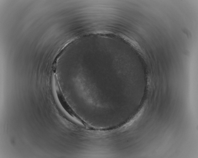 X0000113880881200910081744