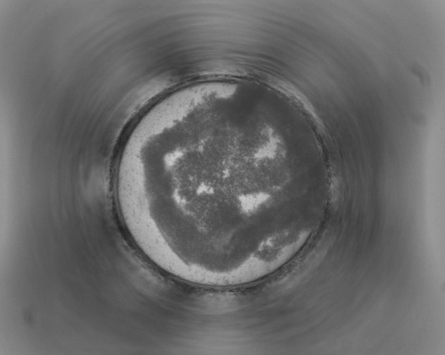 X0000113880882200910081744